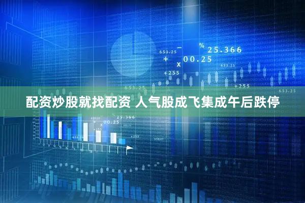 配资炒股就找配资 人气股成飞集成午后跌停