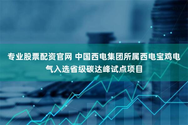 专业股票配资官网 中国西电集团所属西电宝鸡电气入选省级碳达峰试点项目